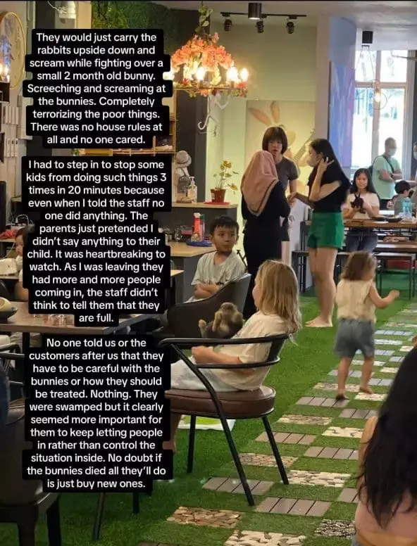 Msian complains about the mistreatment of animals at a pet-friendly cafe