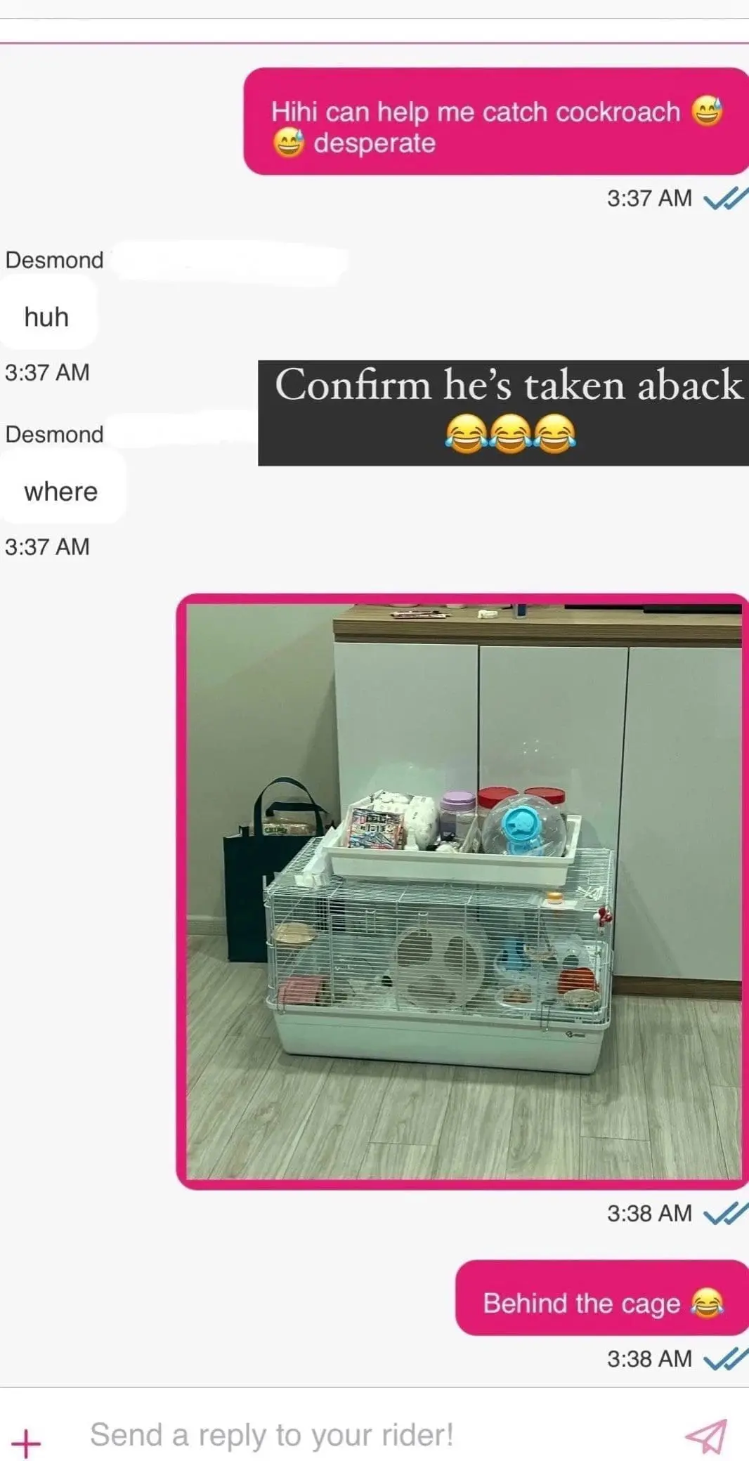 'Husband Material' — SG Delivery Rider Helps Woman Catch Cockroach At Her Home