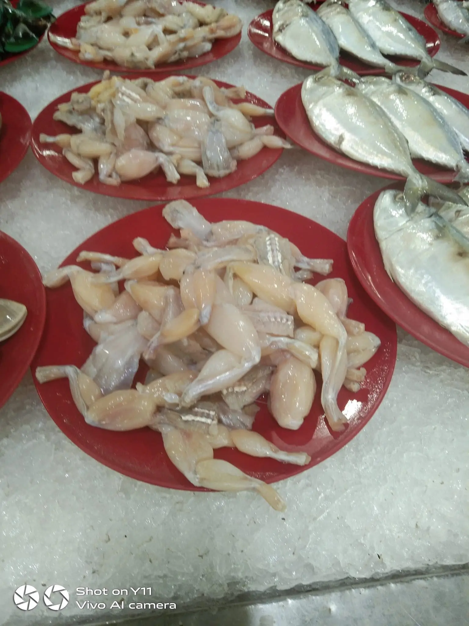 Frog meat that was found was placed in the same area as the fish at NSK Selayang.