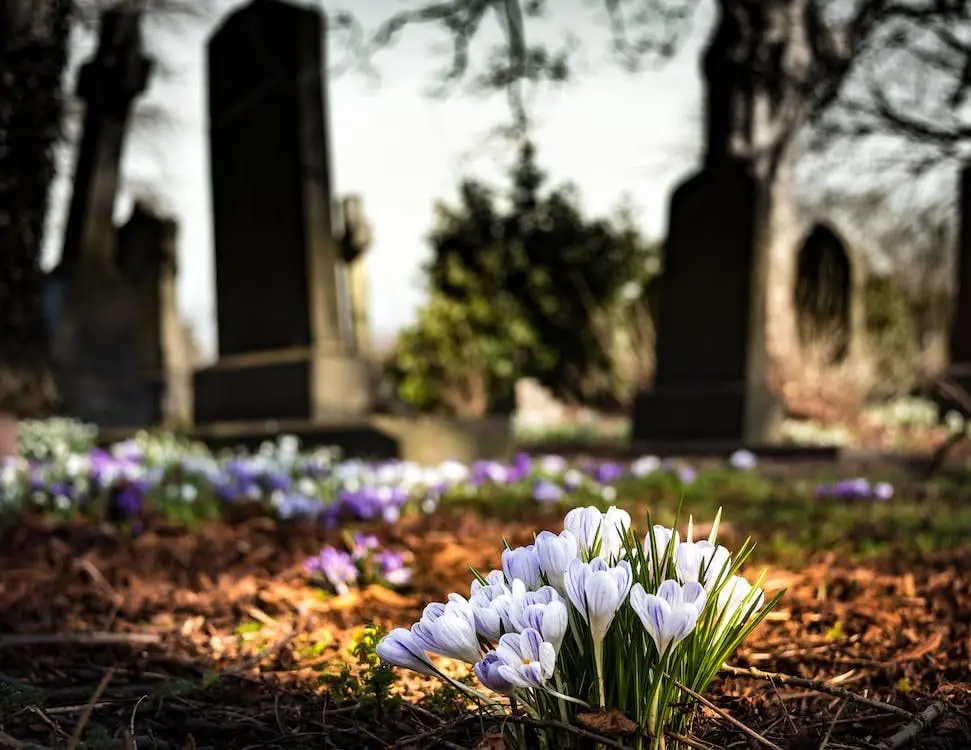 Grave with purple flowers