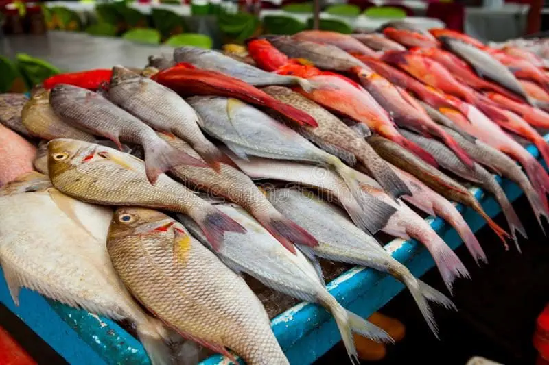 Fish prices soar after 70% less fish spotted in M'sian waters
