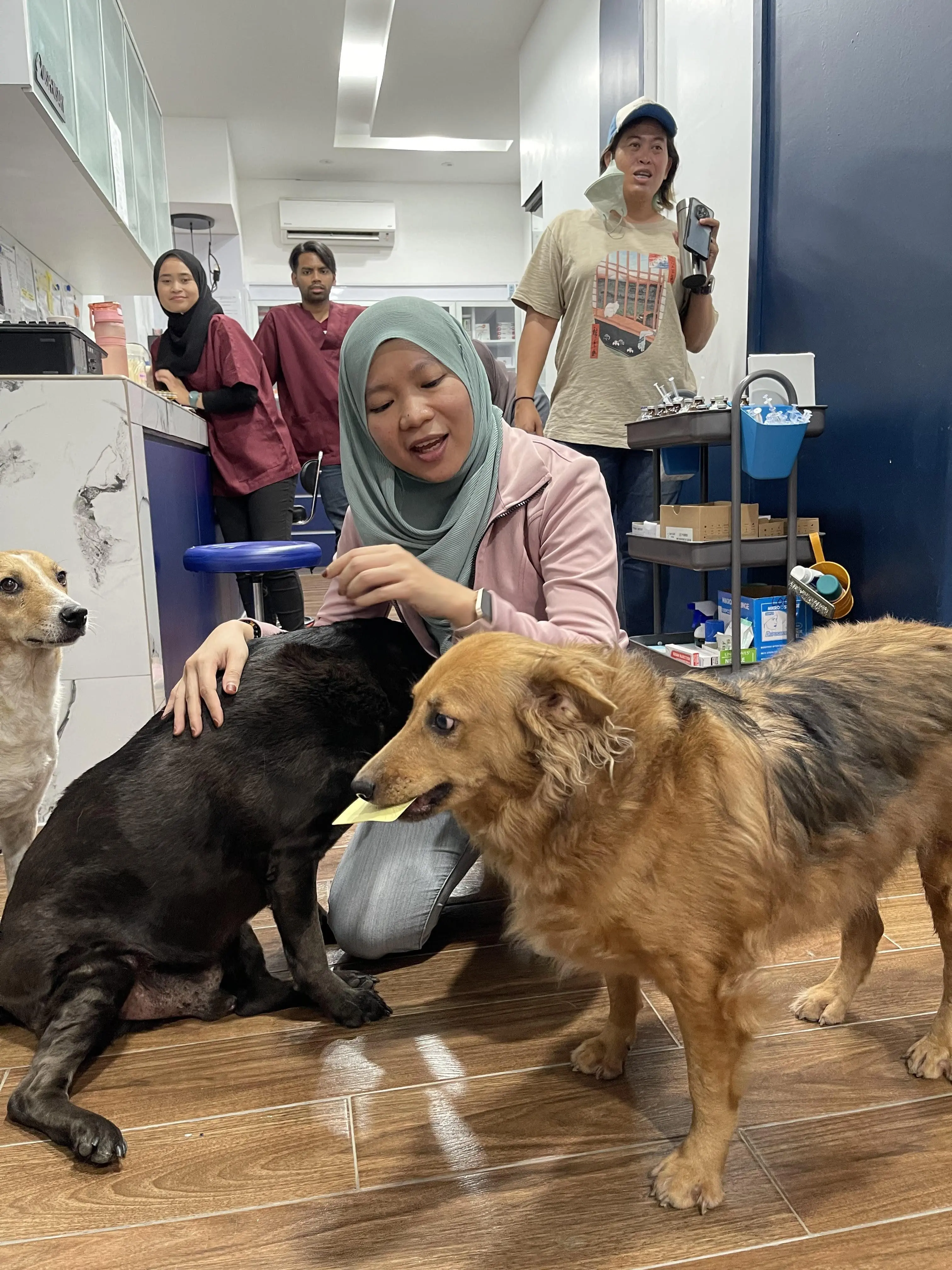 Dr Salehatul Khuzaimah petting dogs at the vet clinic