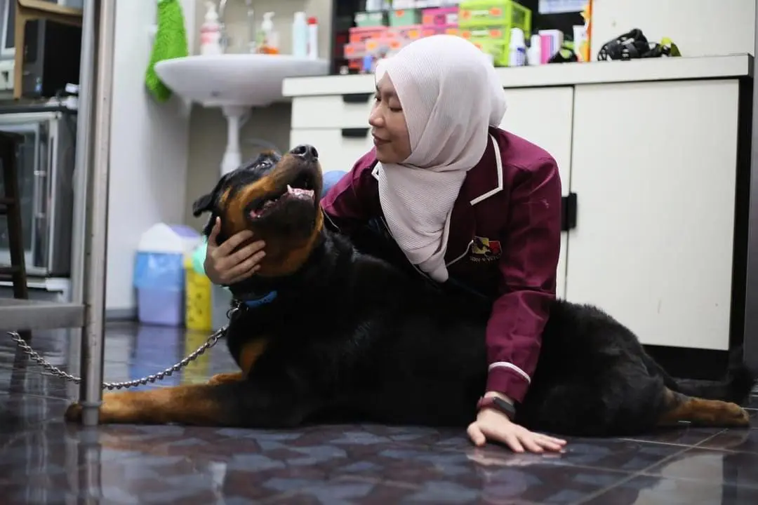 Dr Salehatul Khuzaimah with a Rottweiler
