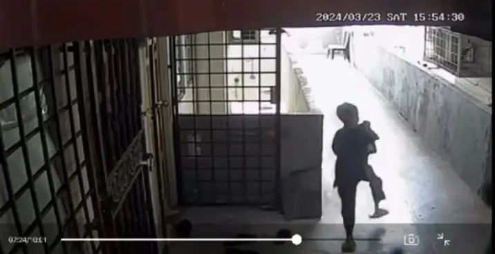 kid steals parcel caught on cctv