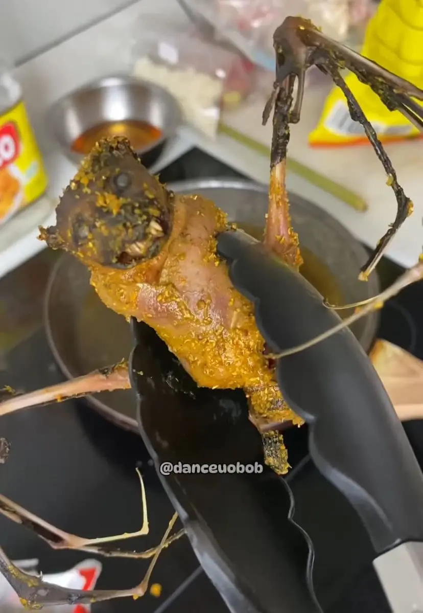 Comedian Calls Out Indonesian Man For Eating Bat In Viral Video