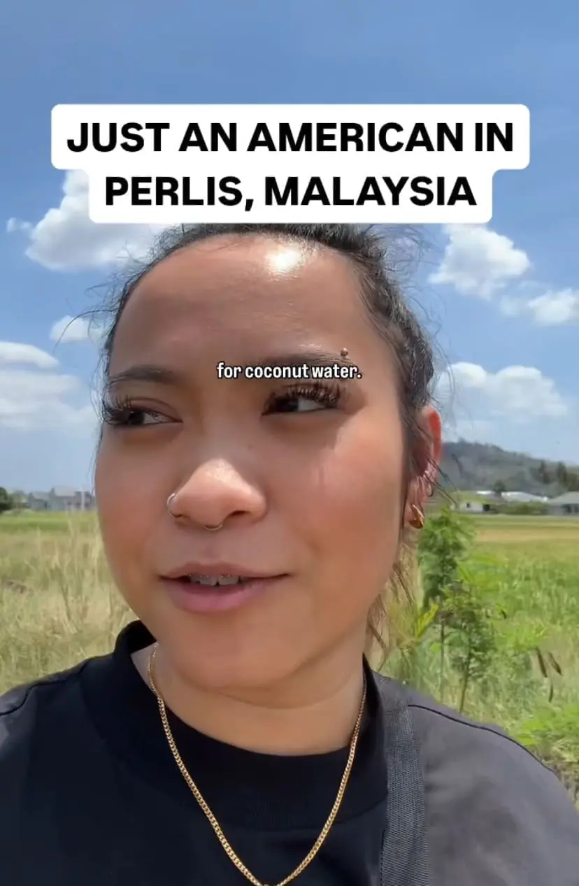 M'sian American woman gets lost in looking for air kelapa in Perlis