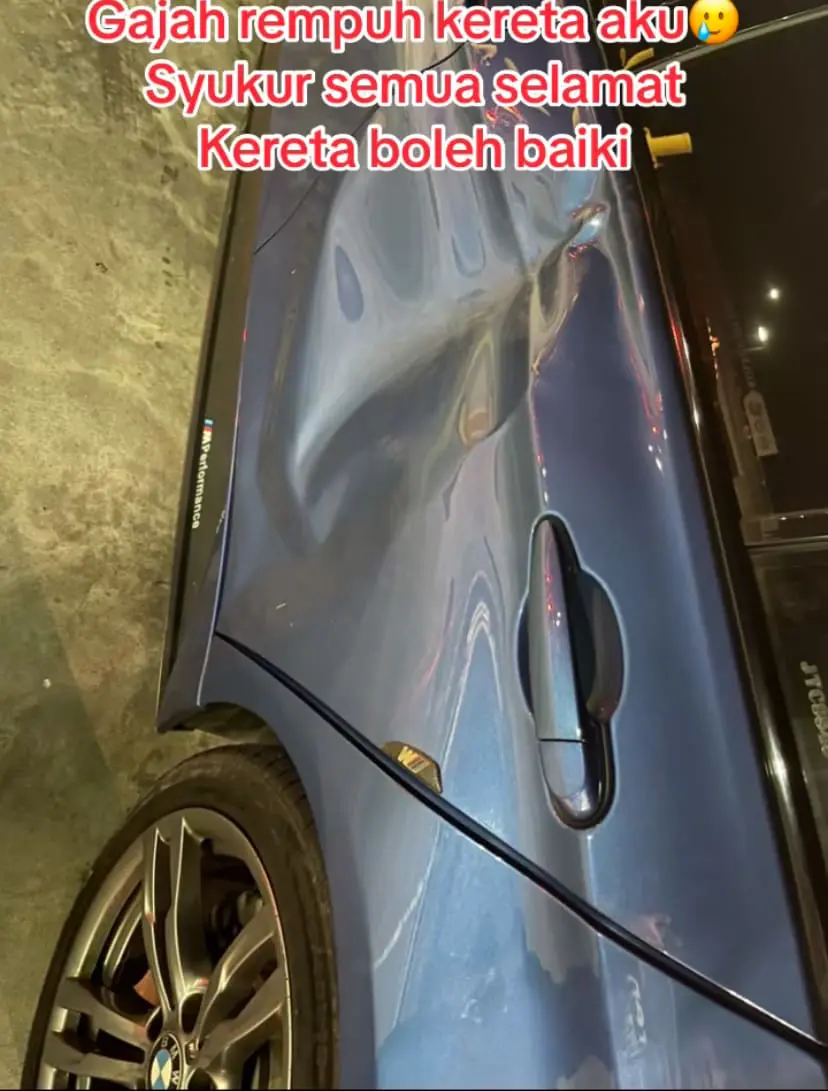 elephant rammed into a Malaysian family car - damages