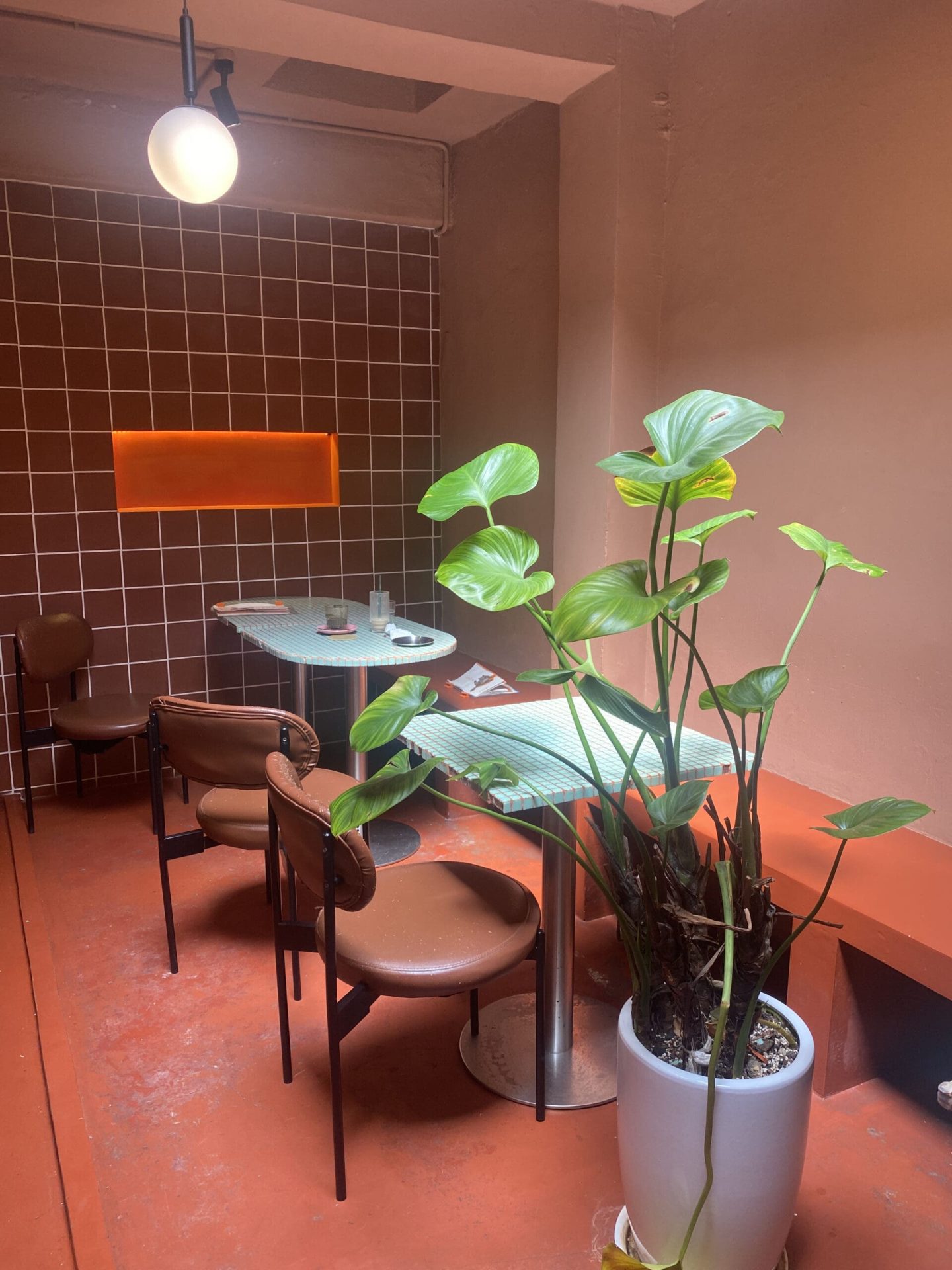 Poppy Kat cafe interior with big plants.