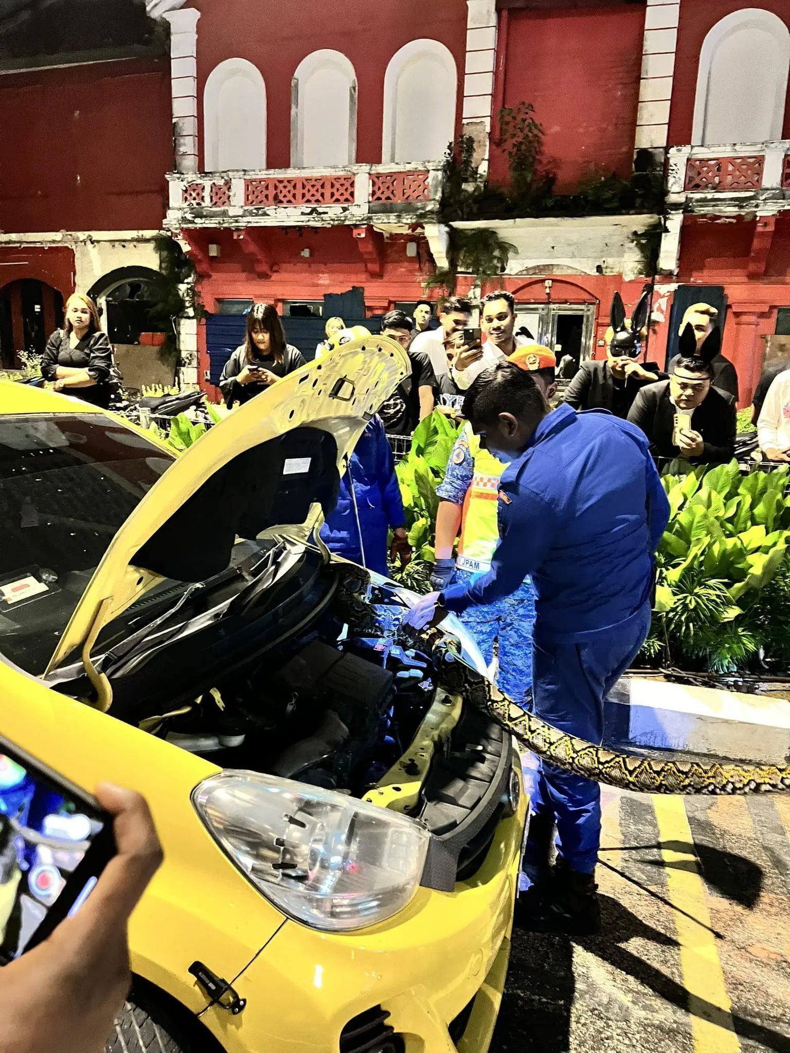 Snake inside movie's engine at Jalan Doaraisamy