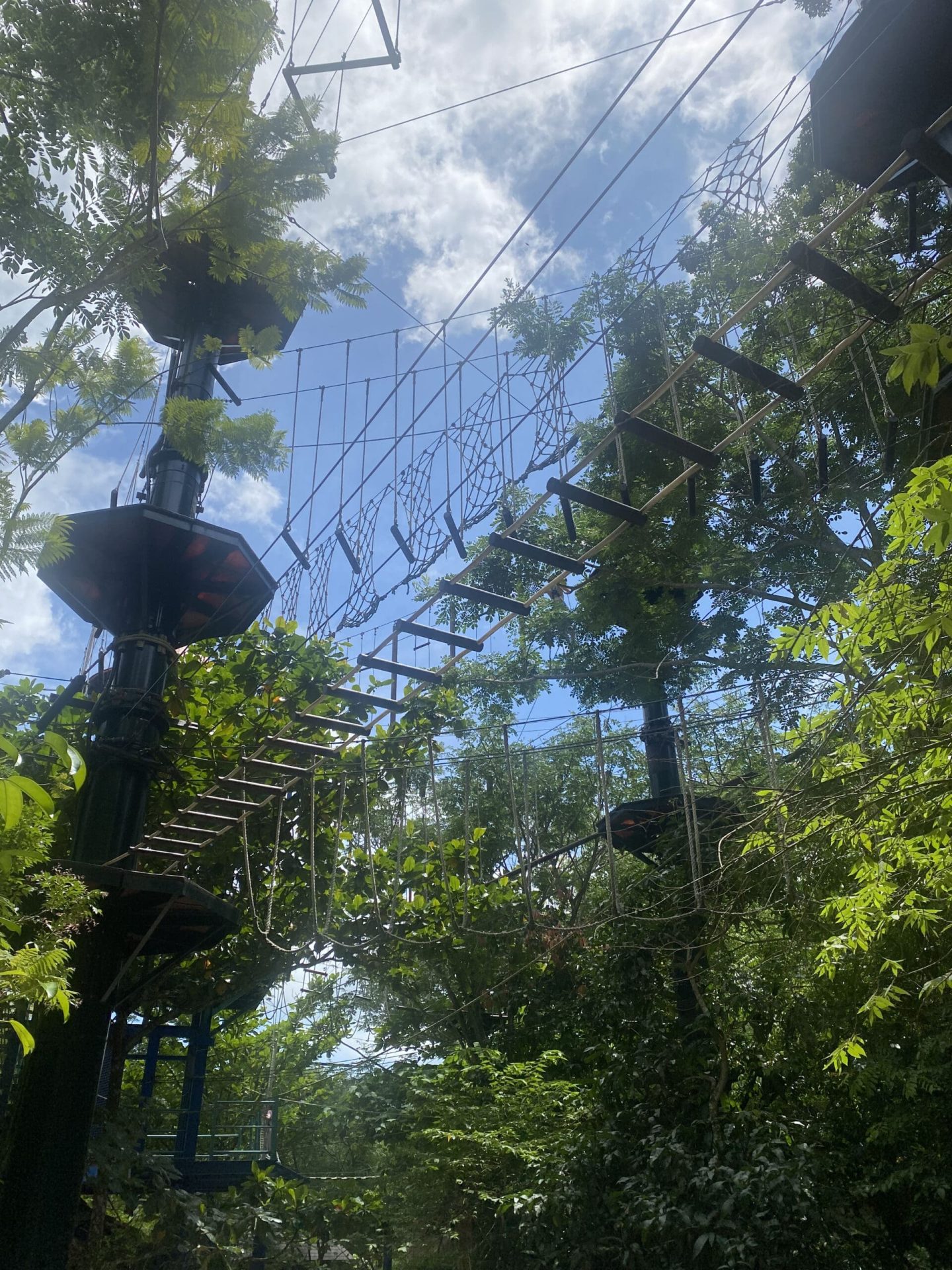 ESCAPE Penang activity: Monkey Business