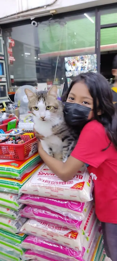 cat in Kim Leong Mini Market in Penang