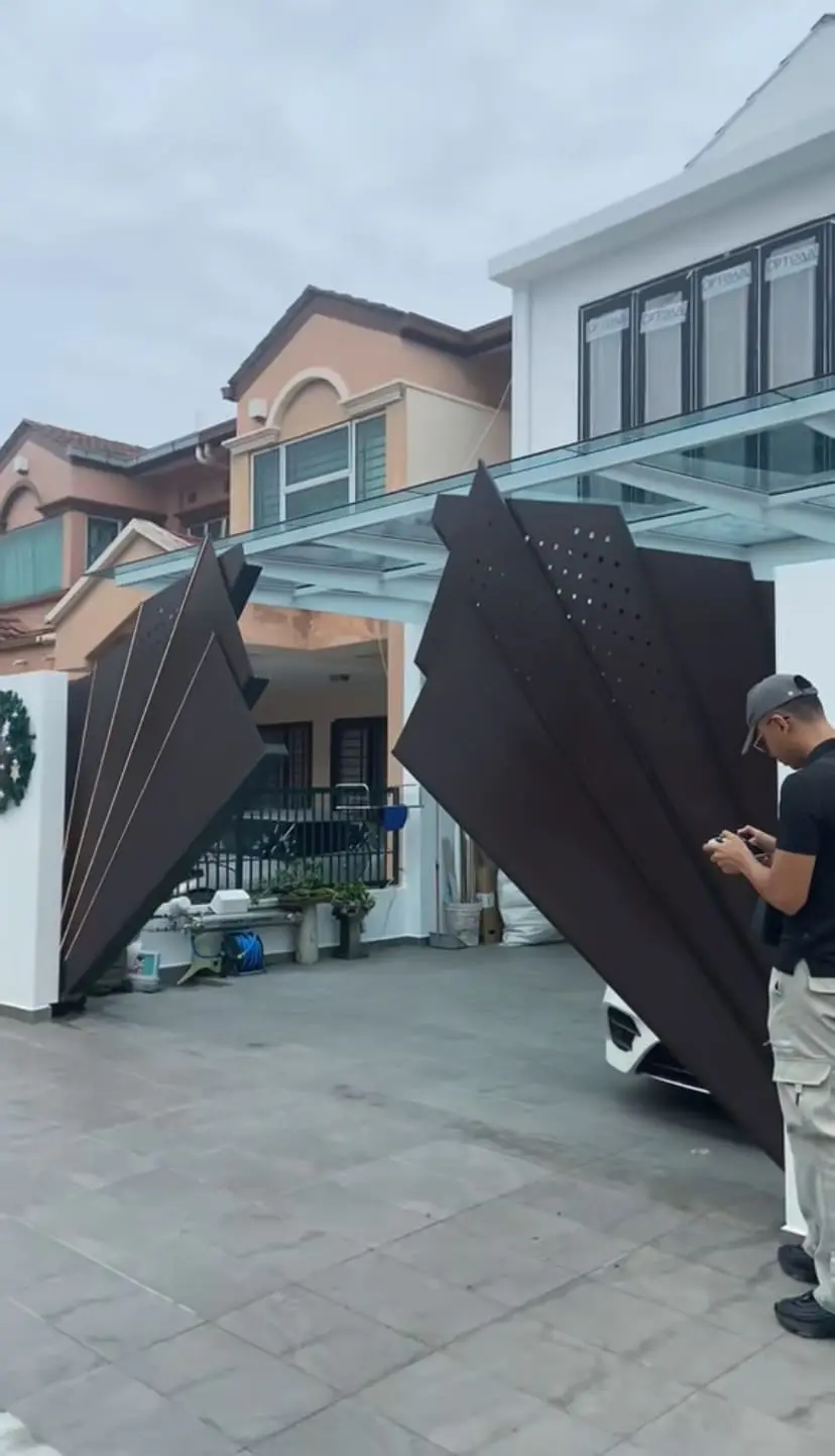 Winged automatic gate 