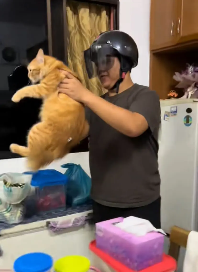 M’sian Man Protects Himself From Oyen’s Relentless Swipes With Helmet