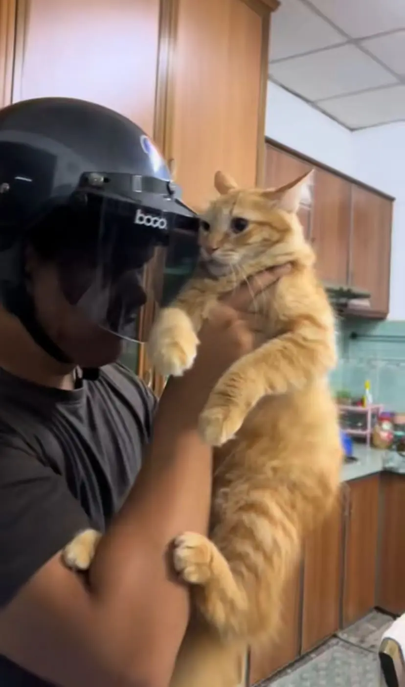 M’sian Man Protects Himself From Oyen’s Relentless Swipes With Helmet