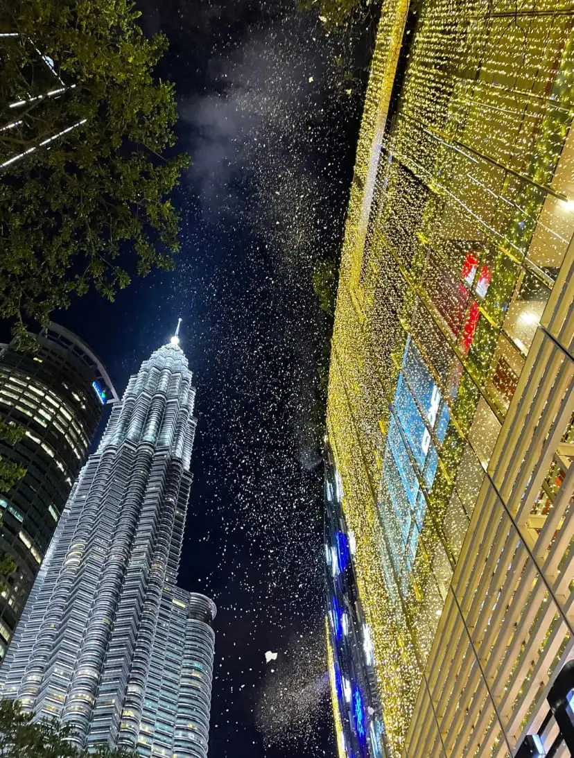 Snow falling from above