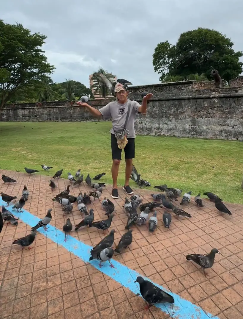 bird whisperer from Penang courtesy of @syafiqaziz79 from TikTok