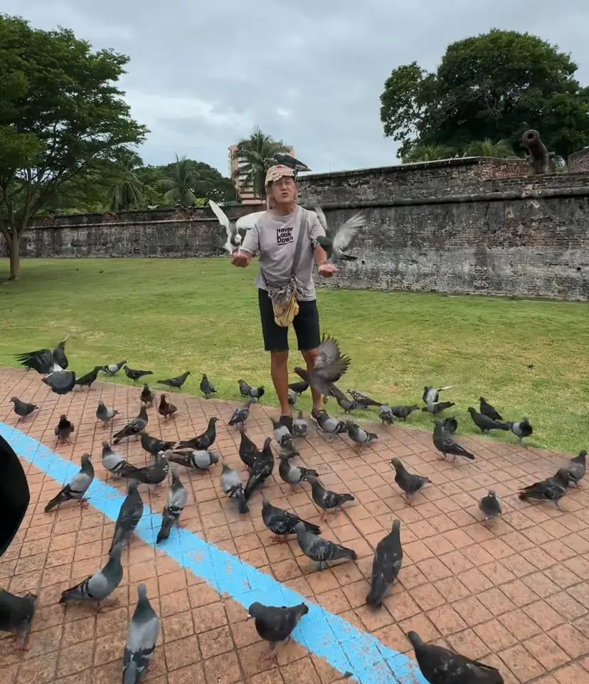 bird whisperer from Penang courtesy of @syafiqaziz79 from TikTok