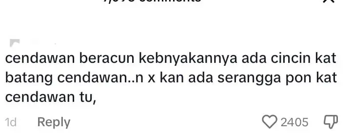 M’sian Family Hospitalised After Eating Mushrooms Near Home, Thought They Were Safe To Eat - comment