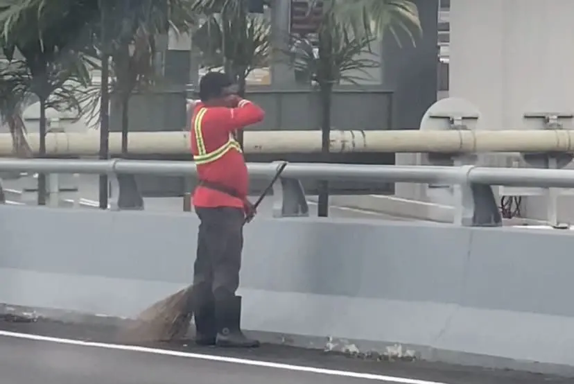 street cleaner grabs white cat