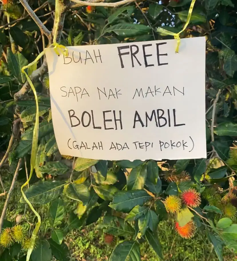 free rambutan sign at gombak roadside - july 2024