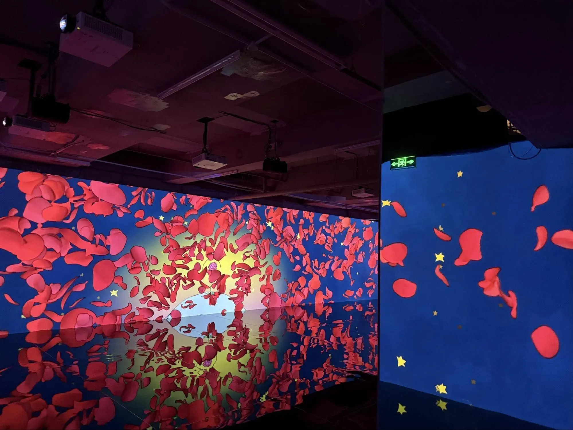 immersive exhibitions