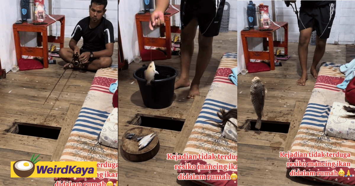 Indonesian Impresses Netizens by Fishing in His House Through the Floor, Catching Massive Exotic Fish