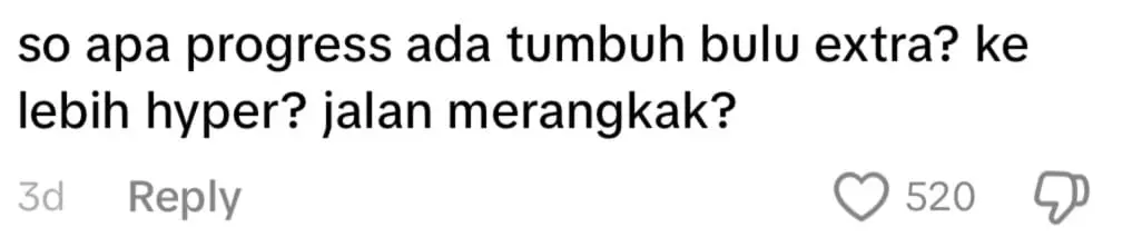Indonesian Influencer Tries Cat Food And Mixes It With Instant Noodles, Calls It Delicious - comment