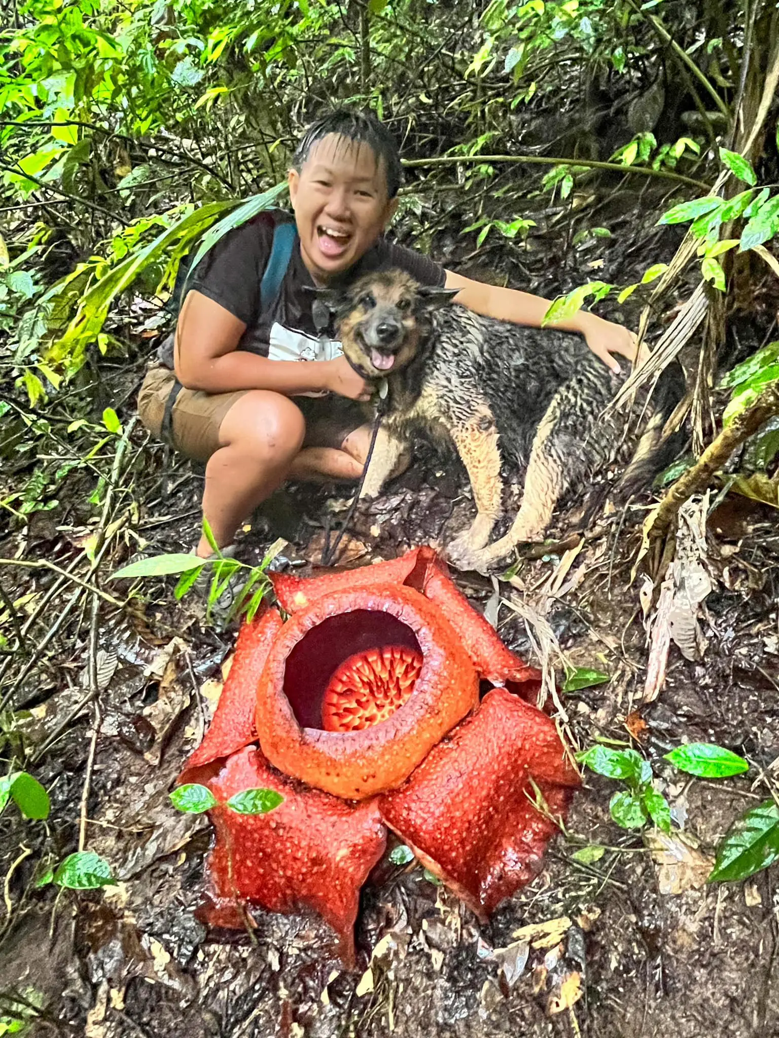 Jen Wong and her pet dog meeting Rafflesia