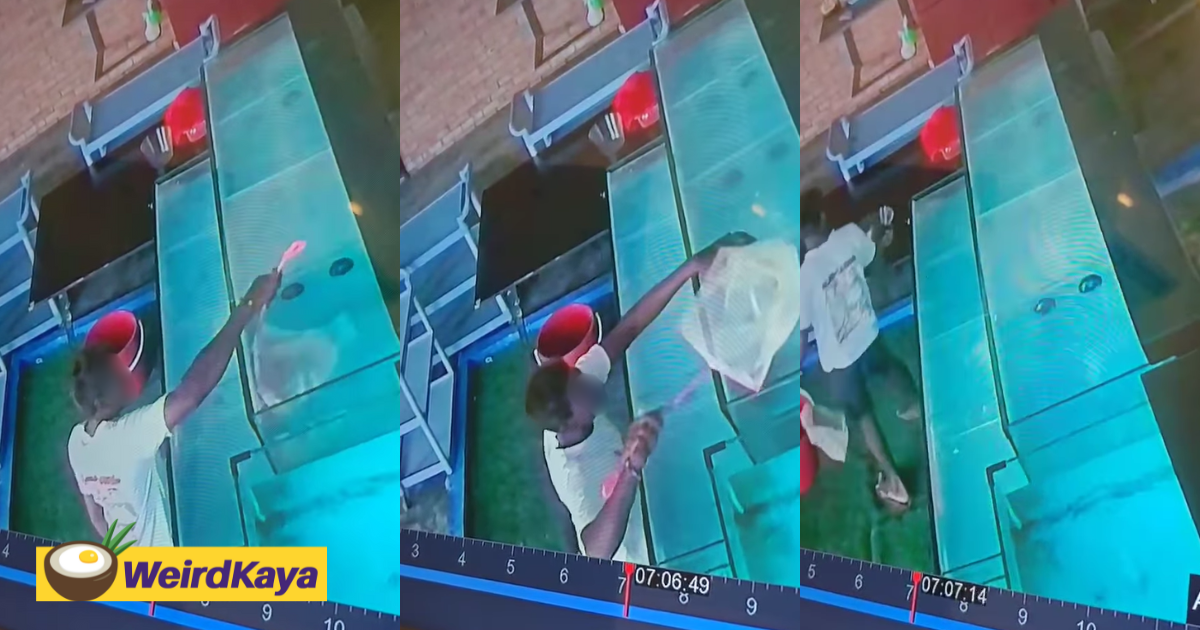 Man Caught On CCTV Stealing Lobster Straight Out From Tank At JB Restaurant