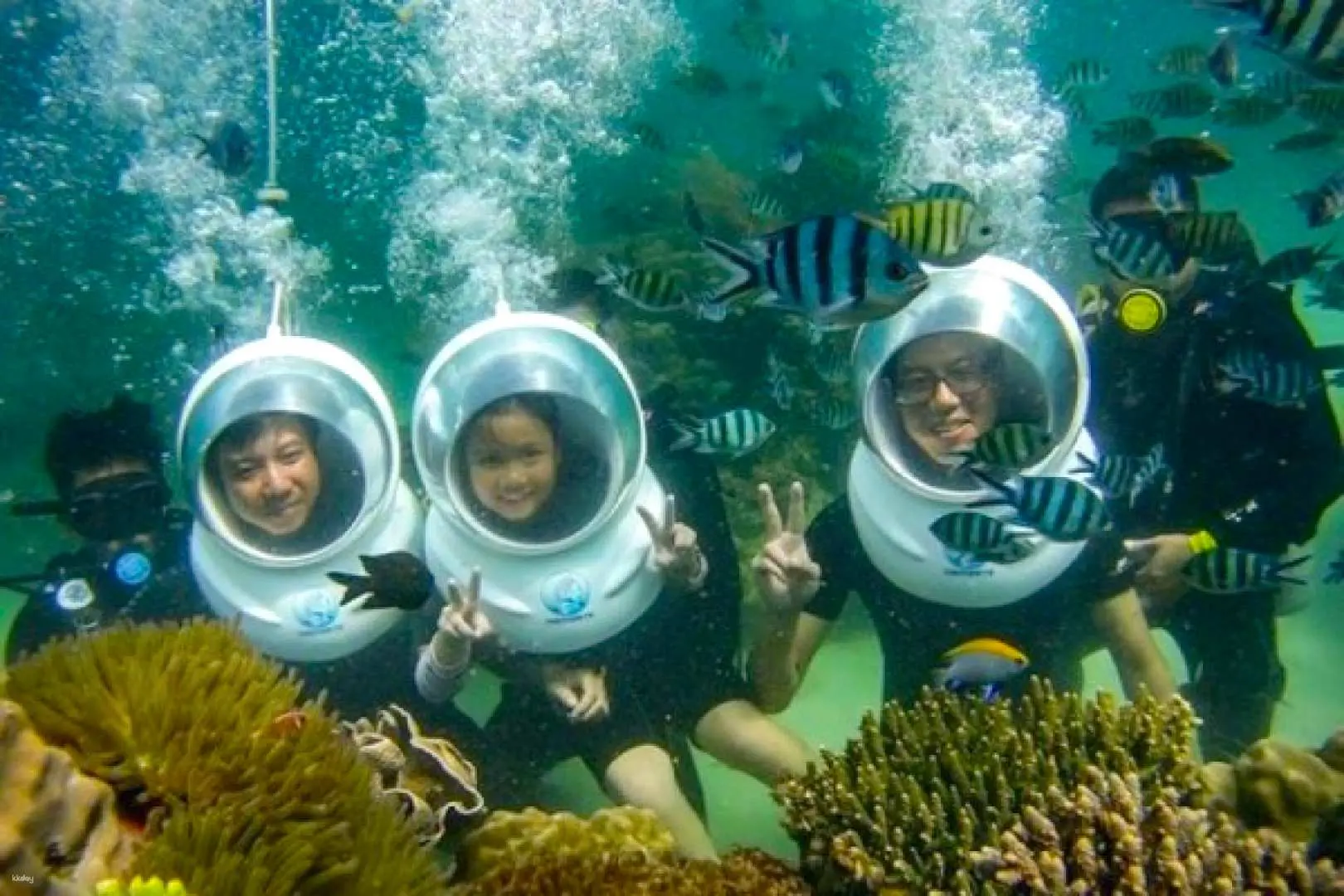 Snorkeling, diving activity 