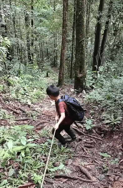 Jungle trekking to school (2)