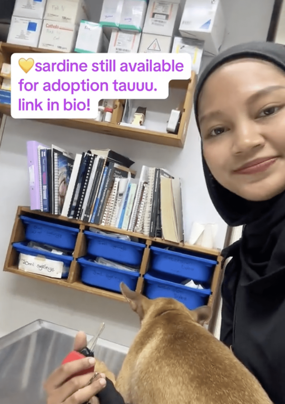 Kindhearted M’sian Woman Enters Dirty Drain To Save Stray Puppy, Wins Praise Onlin4