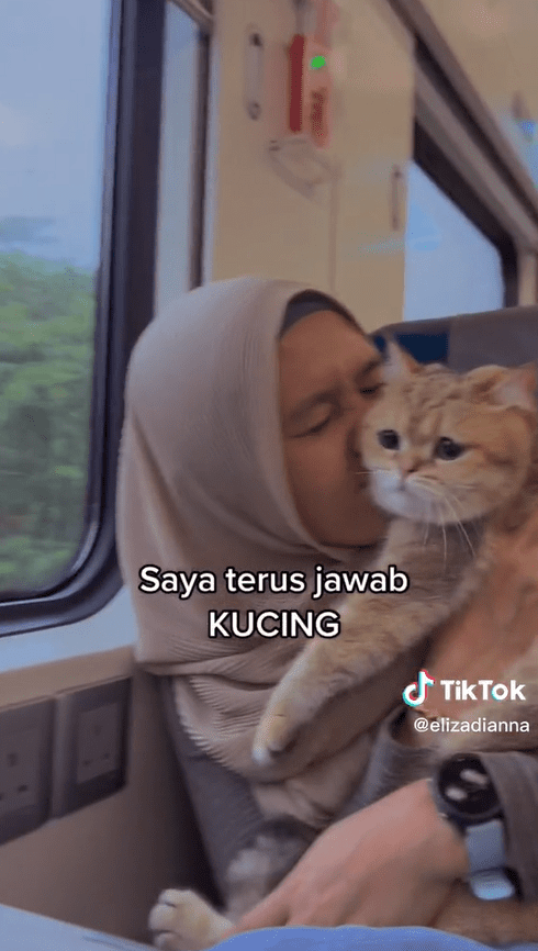 M'sian Woman Brings Cat On KTM Train Ride, Gets Bashed For Breaking 'No Pets' Rule
