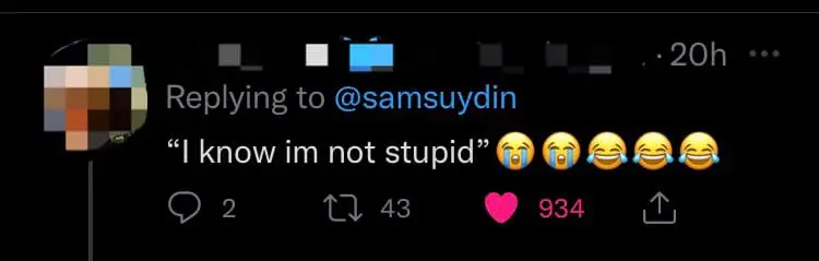 "Woi Bodo!" — Uni Student Accidentally Calls Lecturer "Stupid" In Email Blunder comment 1