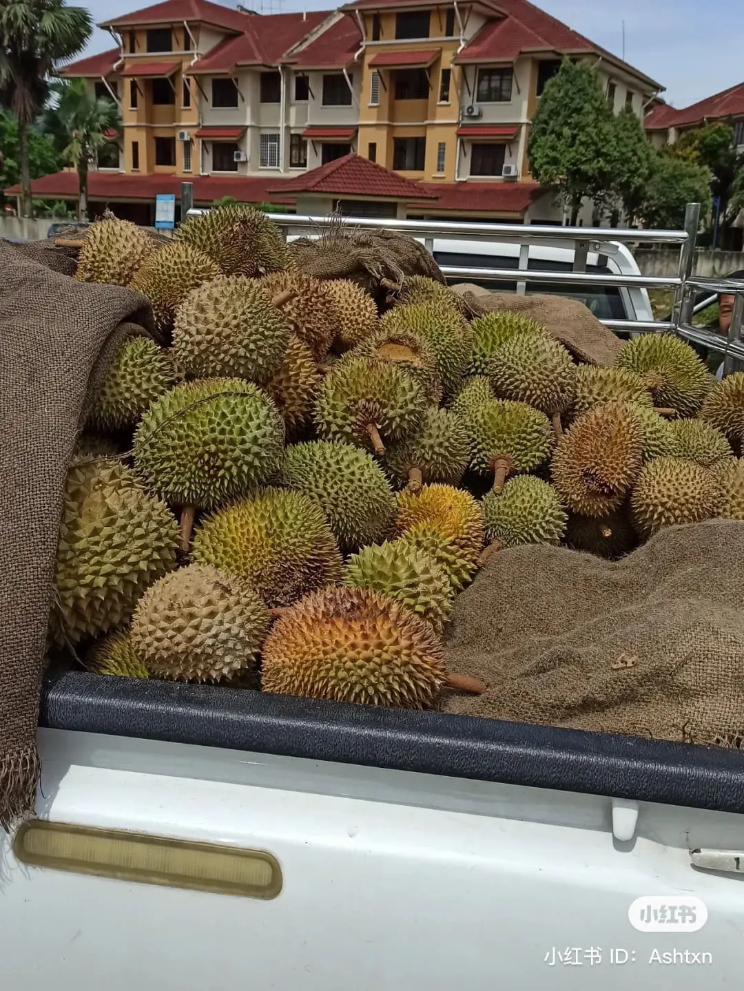 19yo durian seller sends the Internet drooling with shirtless photo