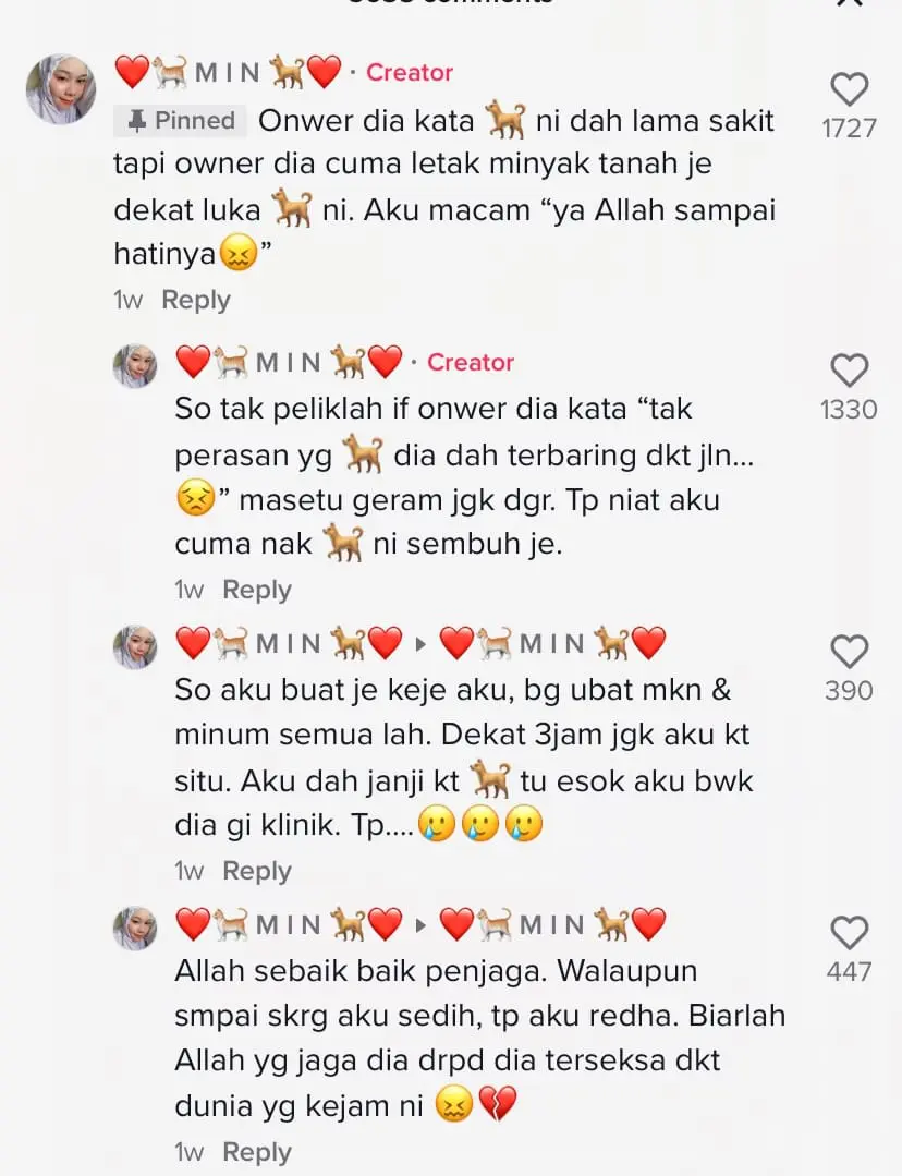 M'sian Girl Comes To The Aid Of Injured Dog Lying By The Roadside