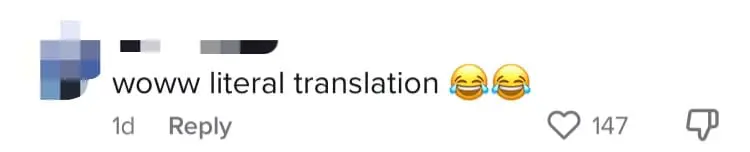 PN's Saifuddin Abdullah Called Out For Allegedly Plagiarising US Politician's Campaign Video comment 2