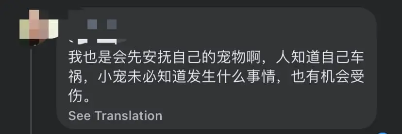 "I Only Care About My Cat" — Penang Woman Rushes To Cat's Aid After Crashing Her Car In An Accident