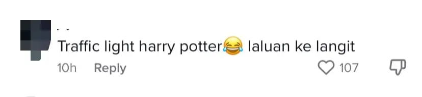 "Who Can See That?"- Traffic Light Points Down To Road Instead Of Drivers, Netizens Amused