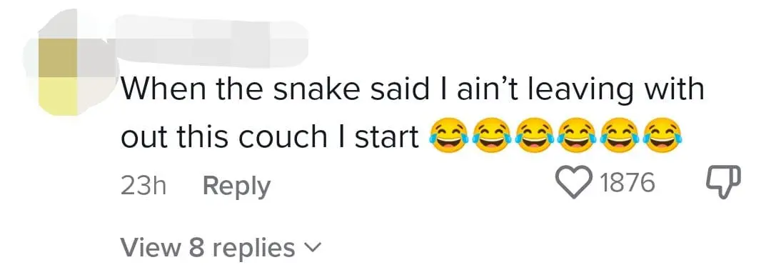 2 Giant Pythons Cause Ceiling To Crumble Like Dust, Shocks Bentong Family comment 3