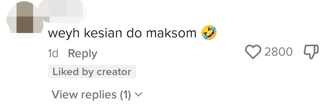 M'sian Woman Wishes To Sit Beside Handsome Turkish Man, Ends Up Having A Dog As Her Companion comment 2