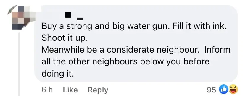 Dirty My Washed Clothes With Soy Sauce" S'porean Neighbour Hangs Pork Belly Outside Flat's Window