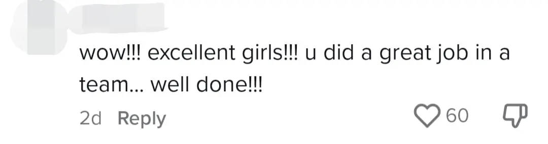 "1Malaysia Forever" — M'sians Wowed By Malay Girl Performing Lion Dance Alongside Chinese Partner comment 3