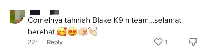 "So Cute!" — Batang Kali Landslide K-9 Dogs Get Groomed After 9 Days Of Hard Work