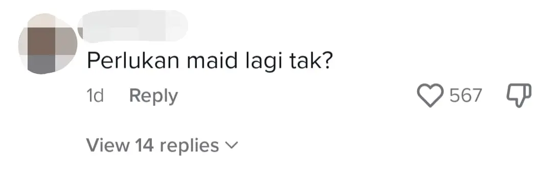 M'sian Entrepreneur Rewards Maids With RM10K Bonus, Helicopter Ride And Resort Vacation comment 1