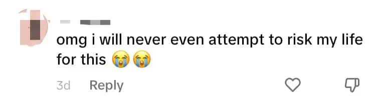 SG TikToker Eats Bags Of Fried Insects In Bangkok, Lands Herself In The Hospital comment 1