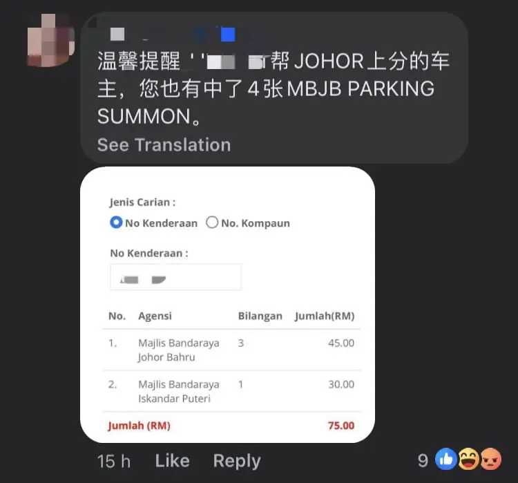 M'sian Woman Forgets To Put Back Pump Nozzle & Drives Off, Rips Cord Into Half comment 4