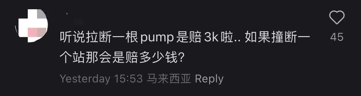 'Just Myvi Things' — Myvi Driver Knocks Petrol Pump Over After Reversing By Mistake comment 4