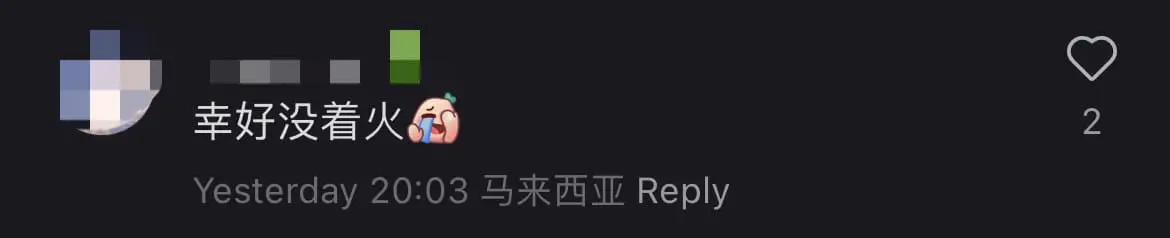 'Just Myvi Things' — Myvi Driver Knocks Petrol Pump Over After Reversing By Mistake comment 3