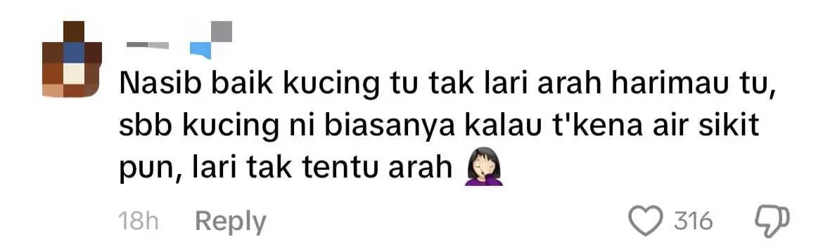 Johor Zoo Worker Saves Kitten From Being Eaten By Tigers After It Fell Into Enclosure comment 1